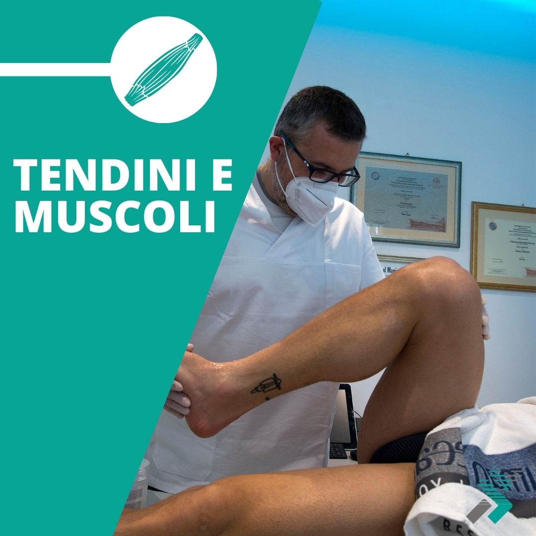 Tendini e Muscoli