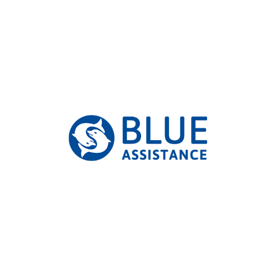 Blue Assistance - Gruppo Assicurativo - Assicurazione Medica - Milano